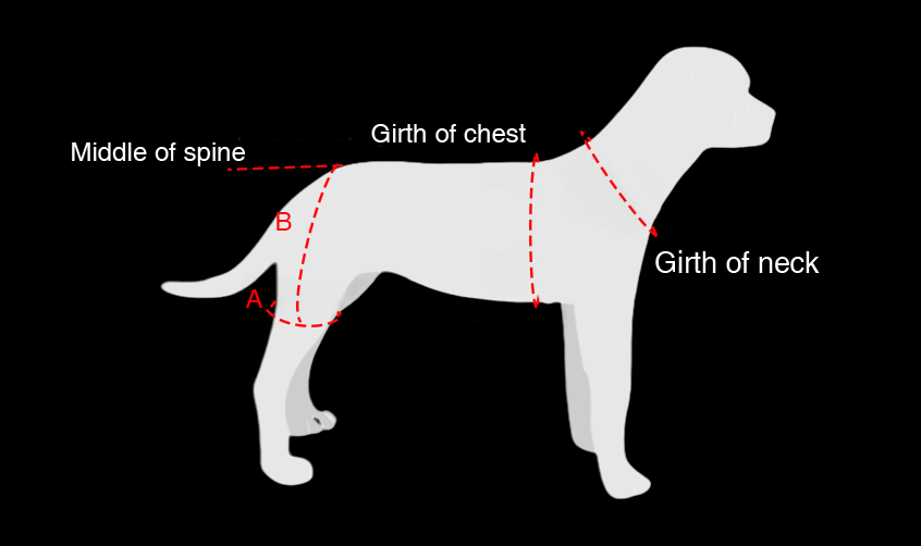 Dog Hip Brace for Hip Dysplasia