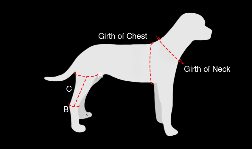 Knee Brace for Dogs Cruciate Support