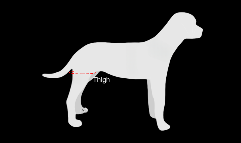 Dog Support Sling for Hind Legs