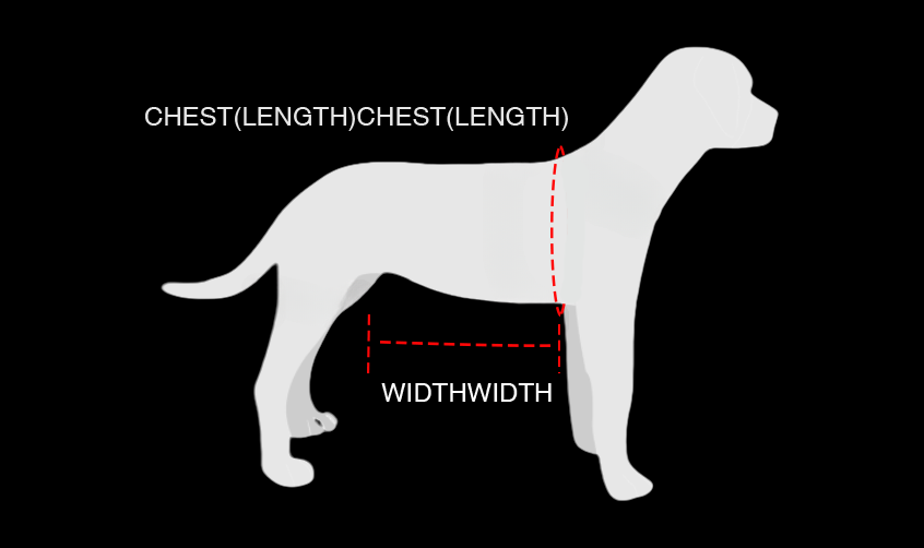 Dog Lifting Harness for Rear Legs