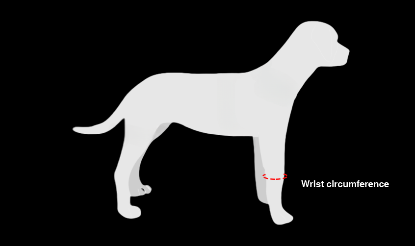 Carpal Brace for Dogs