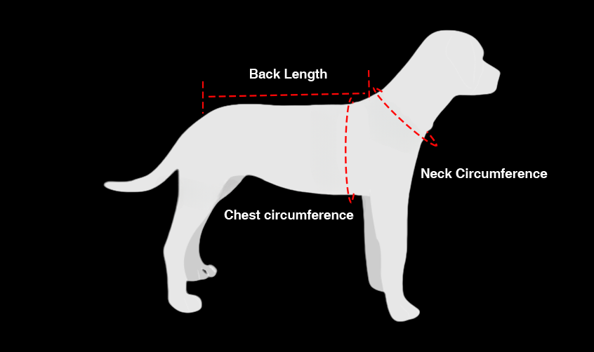 Back Brace for Dogs with Herniated Disc