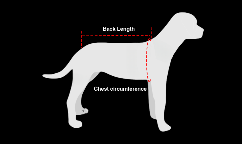 Dog Back Brace for IVDD