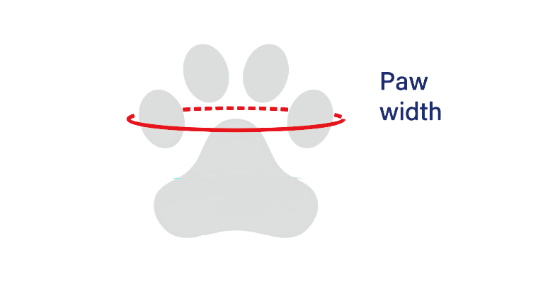 Anti Knuckling Boots for Dogs