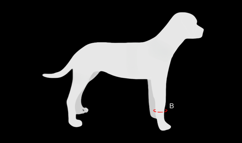 Dog Wrist Joint Brace