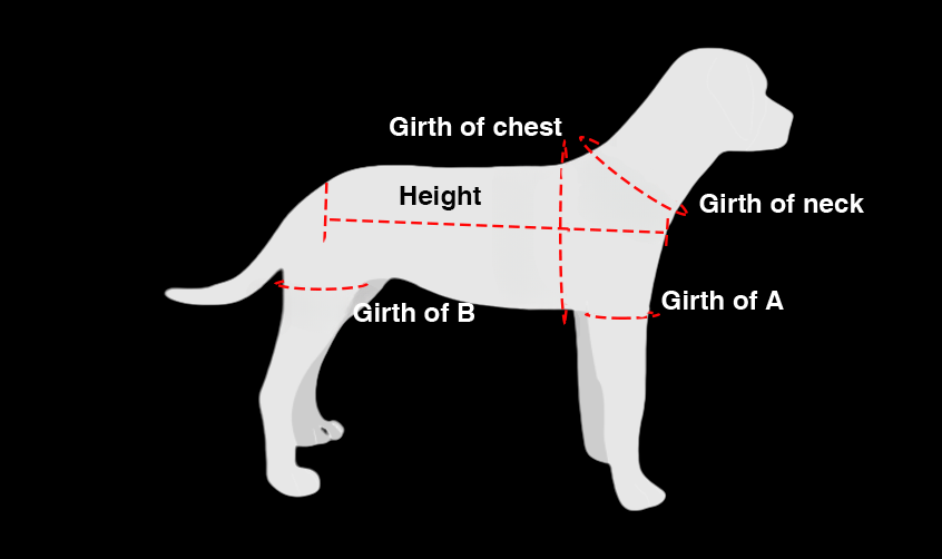 Full Body Support Harness for Dogs