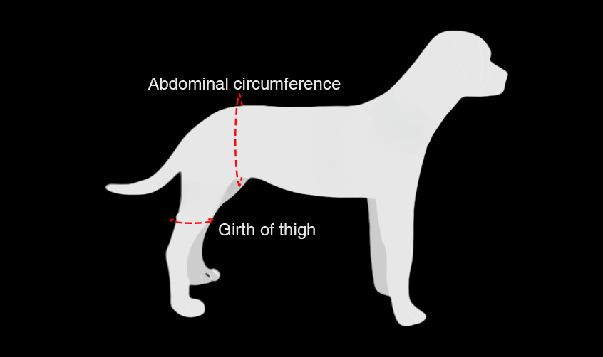Hip Dysplasia Brace for Dogs