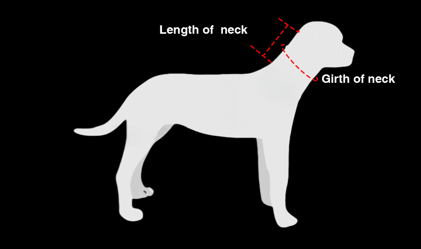Neck Brace Collar for Dogs