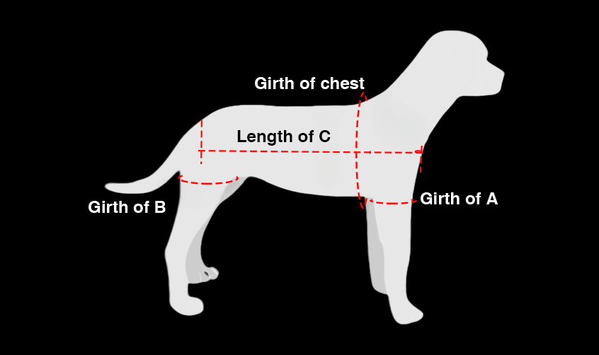 Backpack Full Body Sling for Dogs