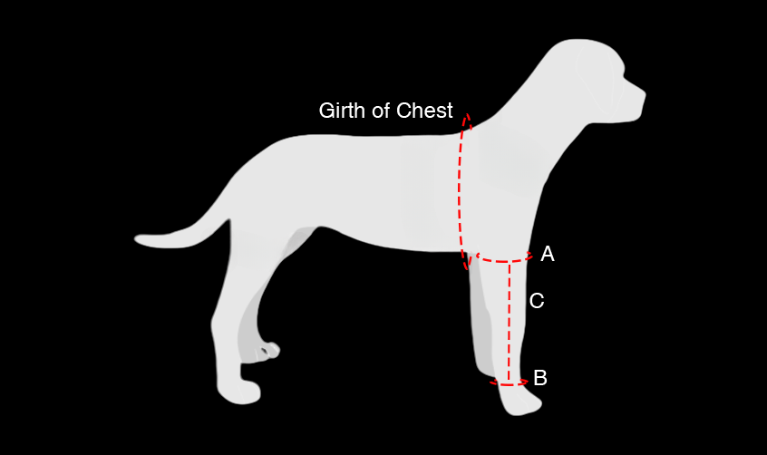 Anti-Licking Solutions & Dog Lick Deterrents
