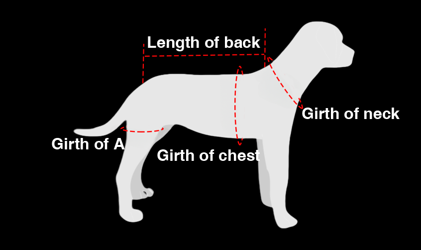 IVDD Spinal Support Canine Back Brace