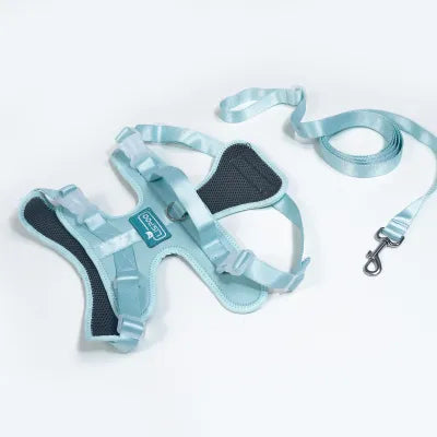 Leg Brace for Dog ACL Injury Green
