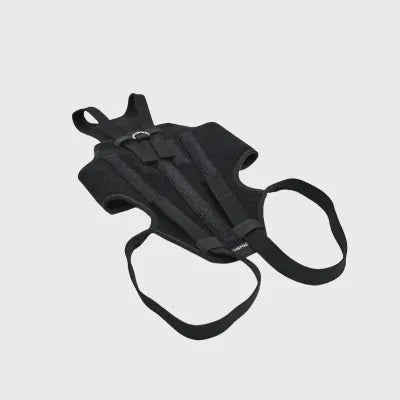Dog Back Brace for IVDD
