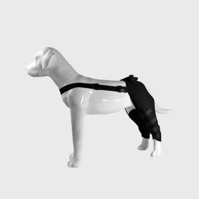 Knee Brace for Dogs Back Leg