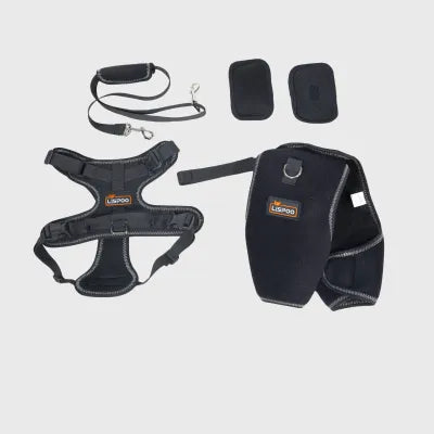 Hip Brace for Dogs with Dysplasia