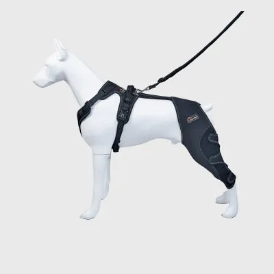 Brace for Dog with Torn ACL
