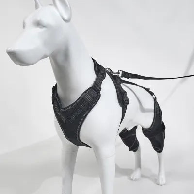 Brace for Dog with Torn ACL