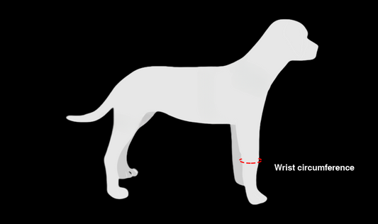 Carpal Brace for Dogs