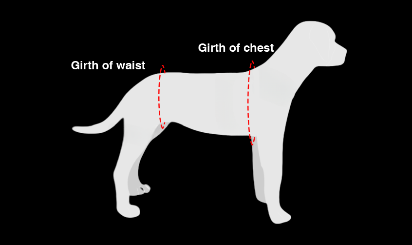 Dog Support Harness for Front and Rear Legs