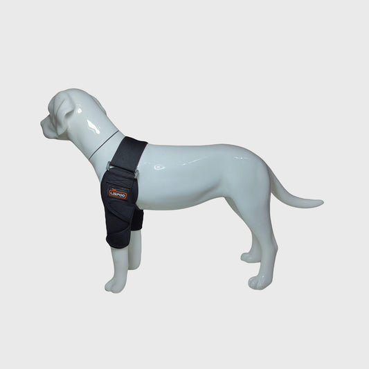 Dog Front Elbow Brace for Arthritis