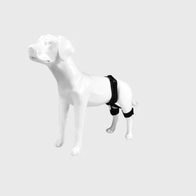 Hip Dysplasia Brace for Dogs