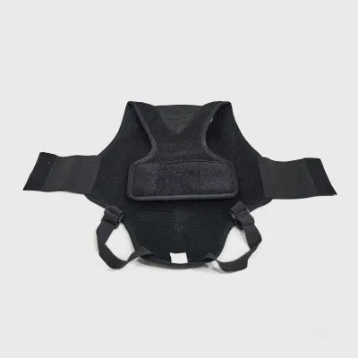 Back Brace for Dogs with Herniated Disc