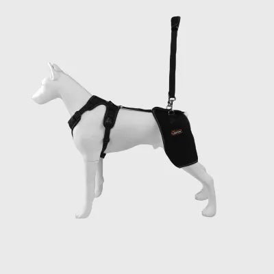 Hip Brace for Dogs with Dysplasia