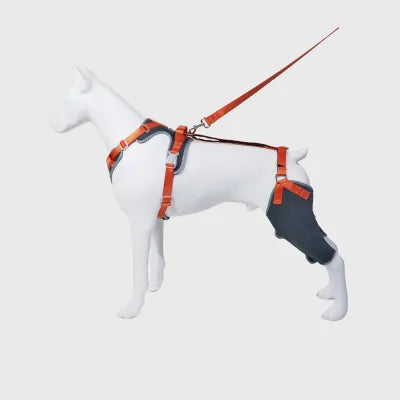 Leg Brace for Dog ACL Injury Grey