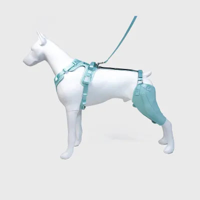 Leg Brace for Dog ACL Injury Green
