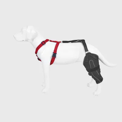 Dog Anterior Cruciate Ligament Brace