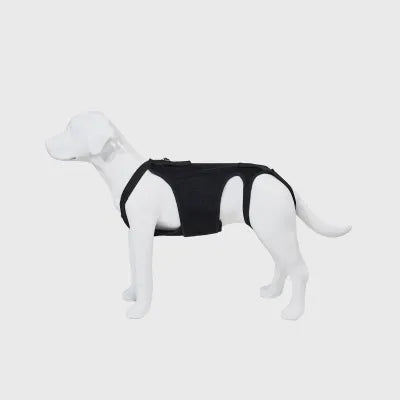 Dog Back Brace for IVDD