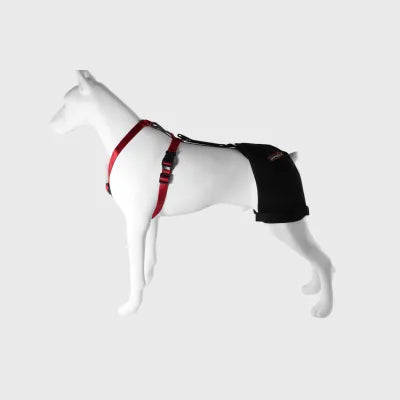 Dog Hip Brace for Hip Dysplasia