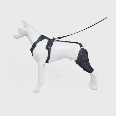 Leg Brace for Dog ACL Injury