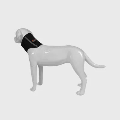 Dog Neck Brace after Surgery