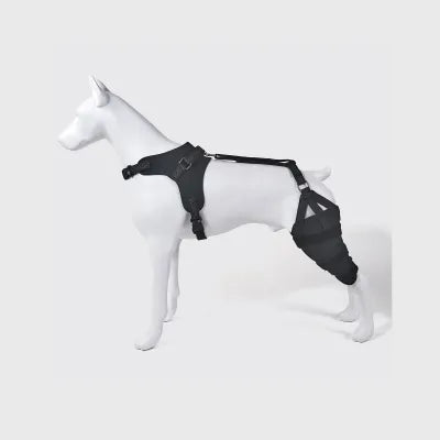 Dog Knee Brace for Torn ACL