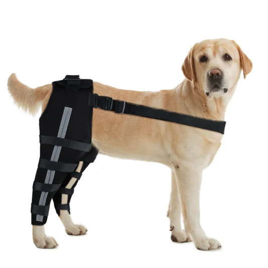 Dog Leg Brace for ACL Injury