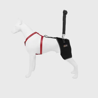 Dog Leg Braces for Hip Dysplasia
